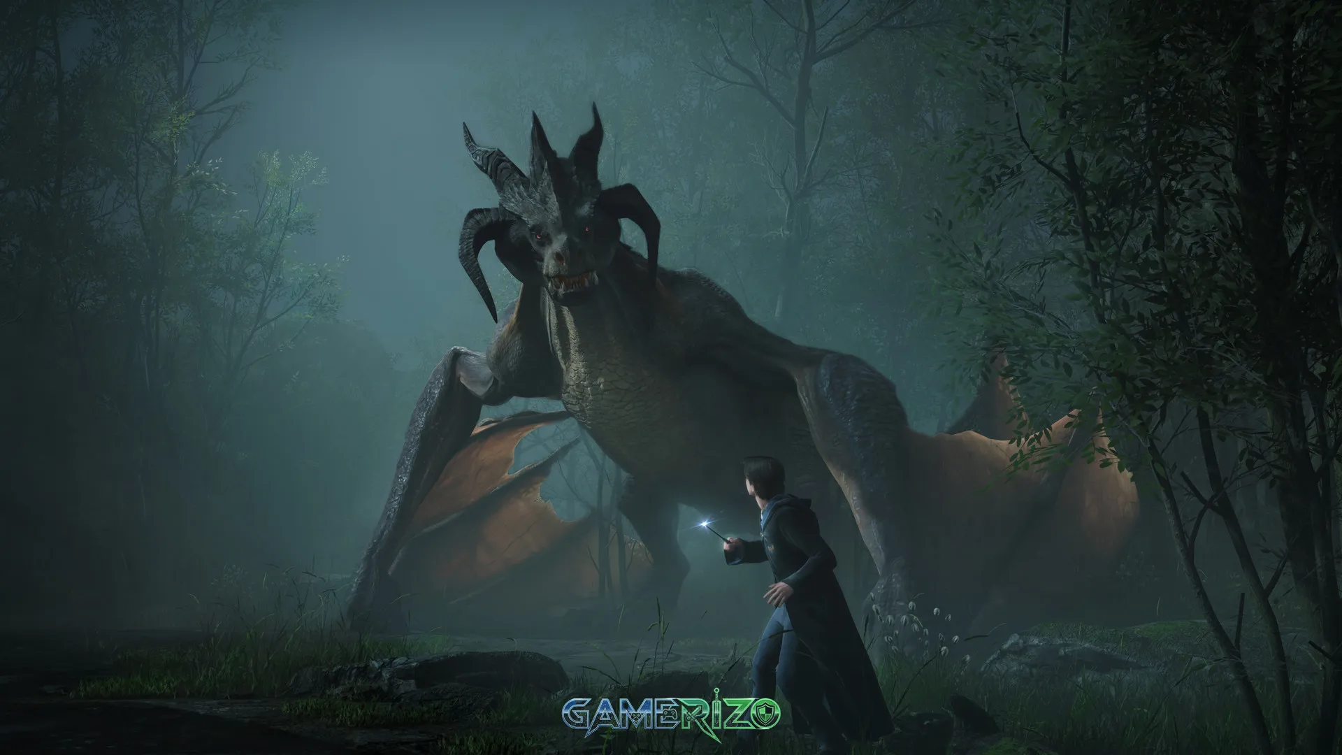 Hogwarts Legacy Deluxe Edition 3