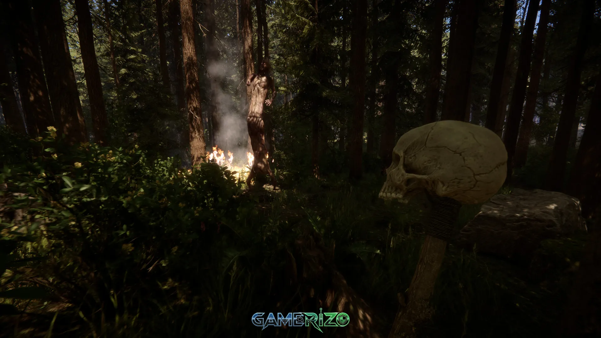 Sons Of The Forest 5