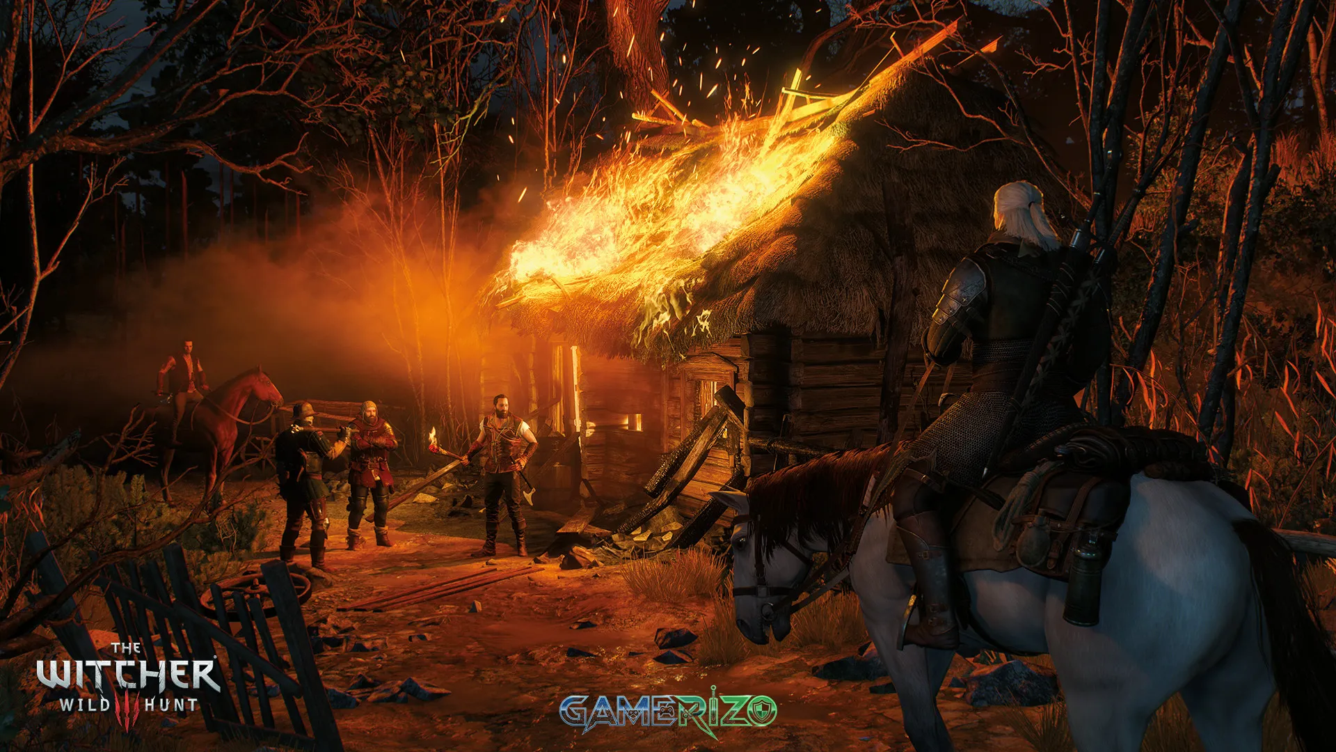 The Witcher 3: Wild Hunt 6