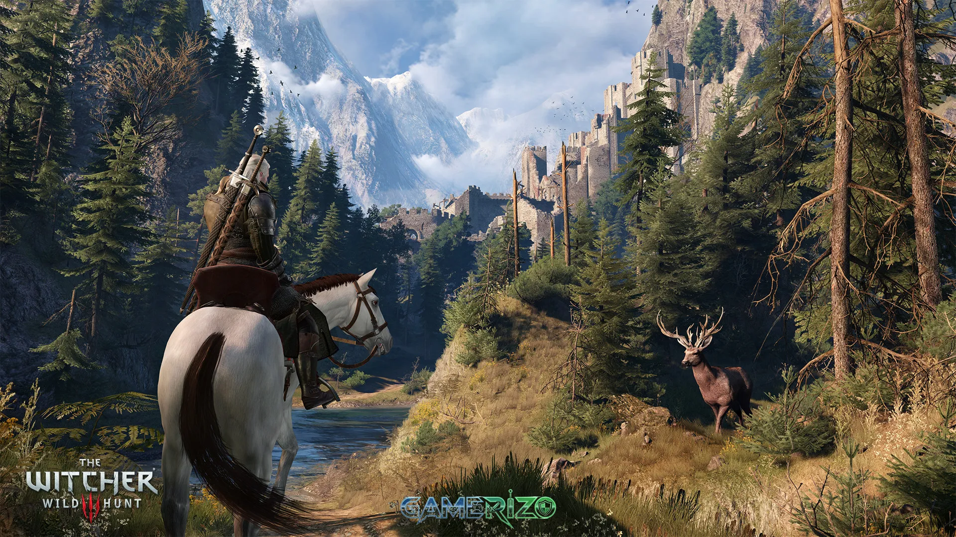 The Witcher 3: Wild Hunt 8