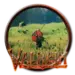 Valheim PC